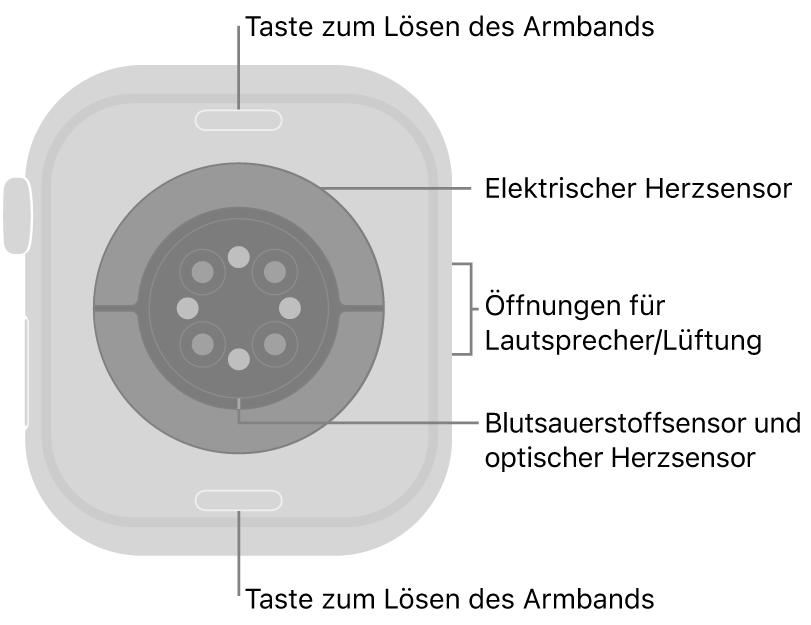 Die Rückseite der Apple Watch Series 10 mit Entriegelungstasten für das Armband oben und unten, elektrischem Herzsensor, optischem Herzsensor und dem Sensor für den Sauerstoffgehalt im Blut in der Mitte sowie den Lautsprecher-/Lüfteröffnungen an der Seite.