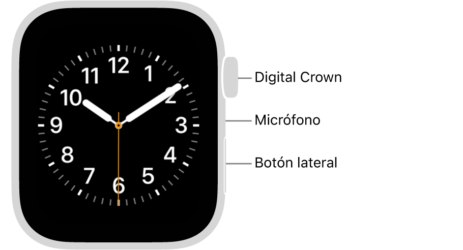 En el frente del Apple Watch (segunda generación) se muestra la pantalla con la carátula y, en orden descendente en un lado del reloj, se ve la corona Digital Crown, el micrófono y el botón lateral.