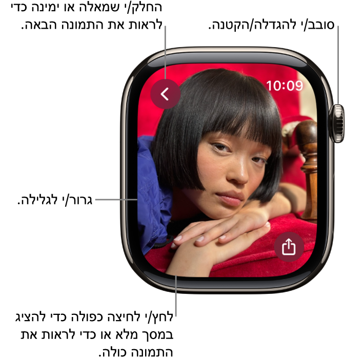 בעת צפייה בתמונה, סובב/י את ה‑Digital Crown כדי להגדיל/להקטין, גרור/י כדי לגלול או הקש/י פעמיים כדי לעבור בין צפייה בתמונה כולה לבין מילוי המסך. החלק/י שמאלה או ימינה כדי לראות את התמונה הבאה. מימין למטה נמצא כפתור השיתוף.