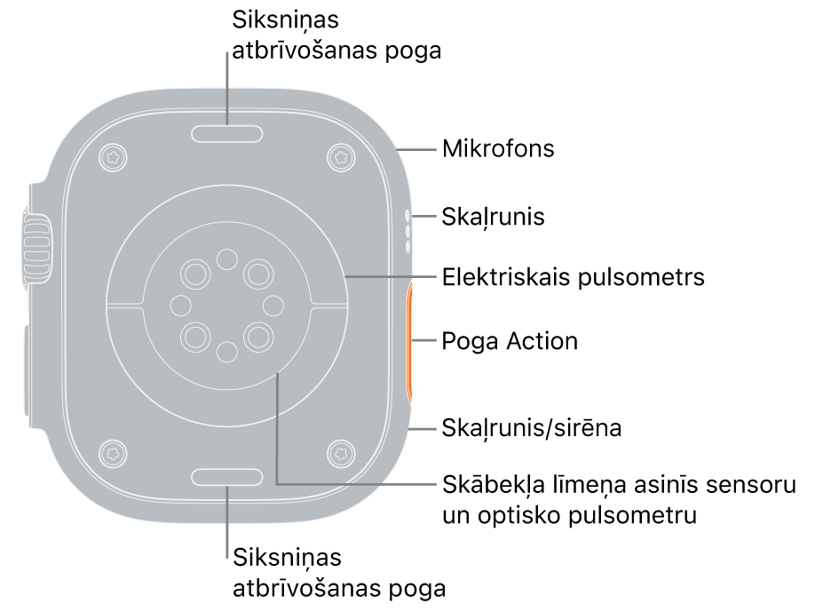 Apple Watch Ultra pulksteņa aizmugure ar siksniņas atbrīvošanas pogām augšā un apakšā. Sānos norādes norāda uz mikrofonu, skaļruni, elektrisko sirds sensoru, pogu Action, skaļruņa portu, no kura tiek atskaņota sirēna, skābekļa līmeņa asinīs sensorus un optiskos sirds sensorus.