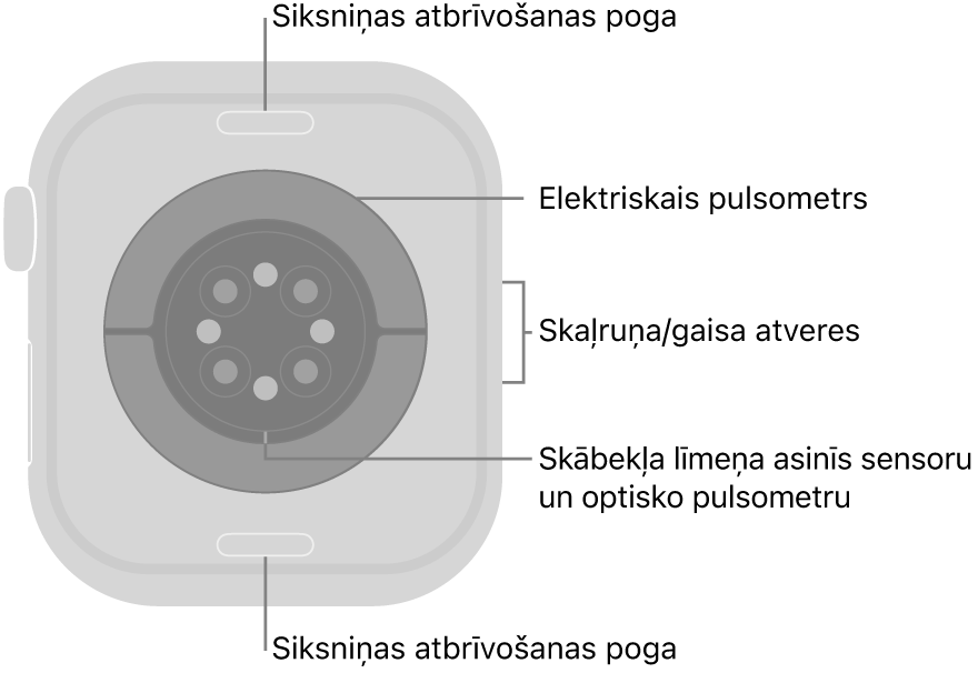 Apple Watch Series 10 pulksteņa aizmugure ar siksniņas atbrīvošanas pogām augšā un apakšā, elektrisko pulsometru, optisko pulsometru un skābekļa līmeņa asinīs sensoru vidū un skaļruņa/gaisa atverēm sānos.