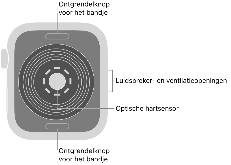 De achterkant van de Apple Watch SE, met aan de boven- en onderkant de ontgrendelknoppen van het bandje, in het midden de optische hartsensor en aan de zijkant de luidspreker- en ventilatieopeningen.