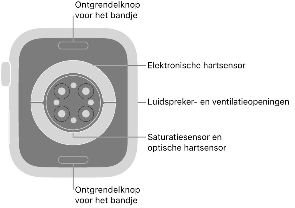 De achterkant van de Apple Watch Series 9, met aan de boven- en onderkant de ontgrendelknoppen van het bandje, in het midden de elektrische hartsensoren, de optische hartsensoren en de saturatiesensoren, en aan de zijkant de luidspreker- en ventilatieopeningen.