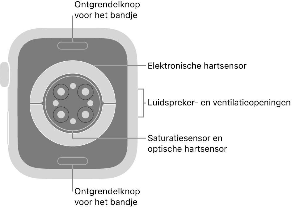 De achterkant van de Apple Watch Series 6, met aan de boven- en onderkant de ontgrendelknoppen van het bandje, in het midden de elektrische hartsensoren, de optische hartsensoren en de saturatiesensoren, en aan de zijkant de luidspreker- en ventilatieopeningen.