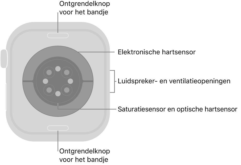 De achterkant van de Apple Watch Series 10, met aan de boven- en onderkant de ontgrendelknoppen van het bandje, in het midden de elektrische hartsensoren, de optische hartsensoren en de saturatiesensoren, en aan de zijkant de luidspreker- en ventilatieopeningen.