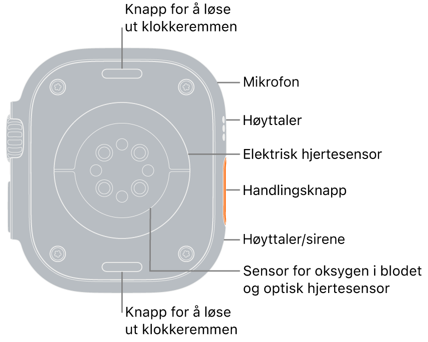 Baksiden av Apple Watch Ultra, med remutløserknappene øverst og nederst. På siden peker forklaringer på en mikrofon, en høyttaler, den elektriske hjertesensoren, handlingsknappen, en høyttaleråpning for sirenen, sensorer for oksygen i blodet samt optiske hjertesensorer.