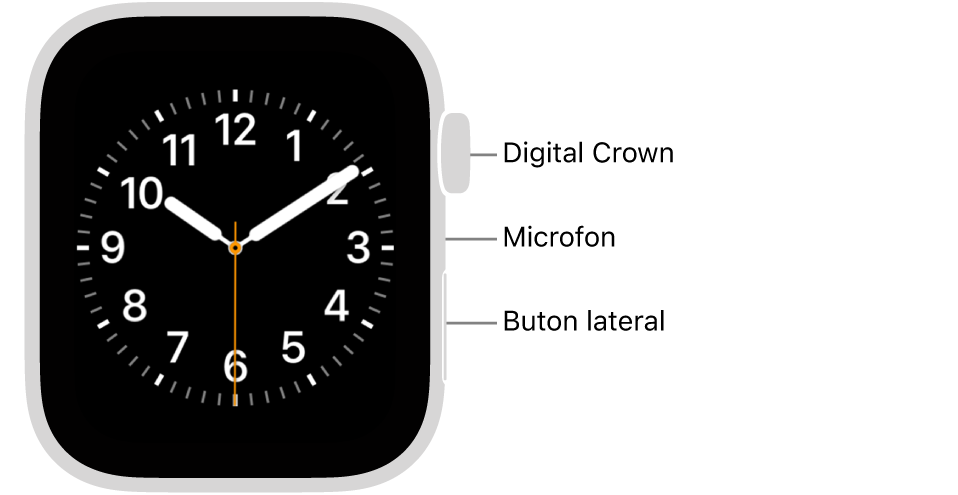 Partea frontală a dispozitivului Apple Watch Series 6, prezentând pe afișaj cadranul ceasului și coroana Digital Crown, microfonul și butonul lateral, de sus până jos, pe partea laterală a Watch-ului.