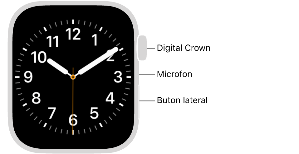 Partea frontală a dispozitivului Apple Watch Series 9, prezentând pe afișaj cadranul ceasului și coroana Digital Crown, microfonul și butonul lateral, de sus în jos, pe partea laterală a Watch-ului.