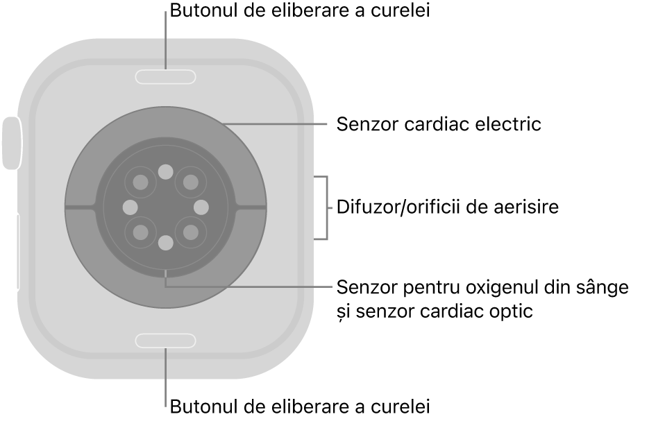 Spatele dispozitivului Apple Watch Series 10, cu butoanele de eliberare a brățării în partea de sus și de jos, senzorii cardiaci electrici, senzorii cardiaci optici și senzorii pentru oxigenul din sânge în mijloc și difuzorul/orificiile de ventilare pe partea laterală.