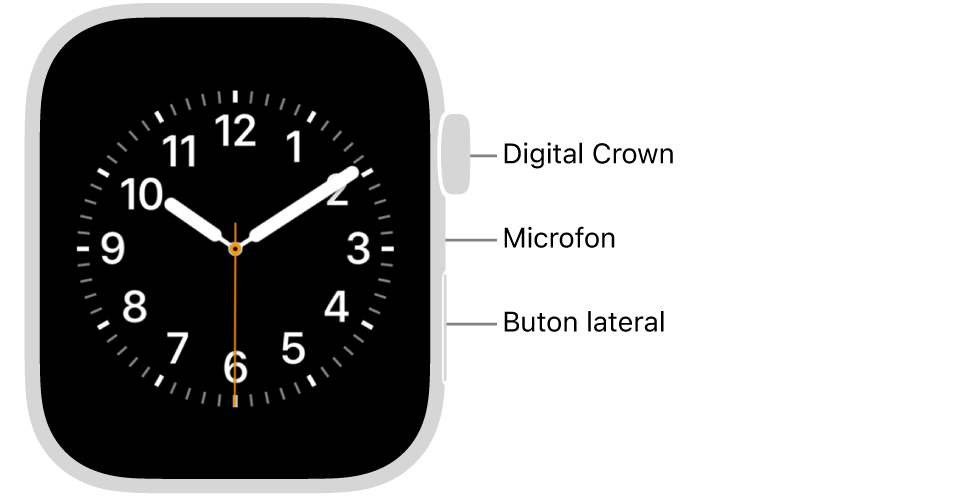 Partea frontală a dispozitivului Apple Watch (generația a 2‑a), prezentând pe afișaj cadranul ceasului și coroana Digital Crown, microfonul și butonul lateral, de sus în jos, pe partea laterală a Watch-ului.