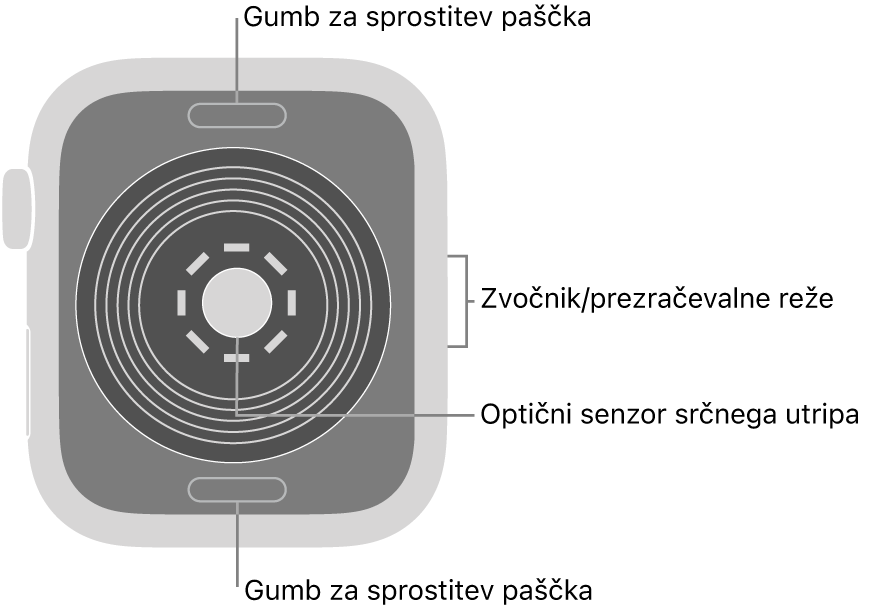 Zadnji del ure Apple Watch SE z gumboma za sprostitev paščka zgoraj in spodaj, optičnim senzorjem srčnega utripa v sredini in zvočnikom/zračniki na strani.