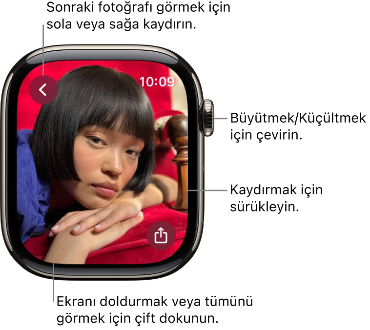 Bir fotoğrafı görüntülerken büyütmek veya küçültmek için Digital Crown’u çevirin, kaydırmak için sürükleyin veya fotoğrafın tümünü görüntülemek ile ekranı doldurmak arasında geçiş yapmak için çift dokunun. Sonraki fotoğrafı görmek için sağa veya sola kaydırın. Paylaş düğmesi sağ altta.