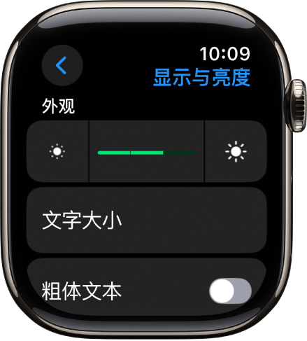 Apple Watch 上的“显示与亮度”设置，顶部是“亮度”滑块，下方是“文字大小”按钮。