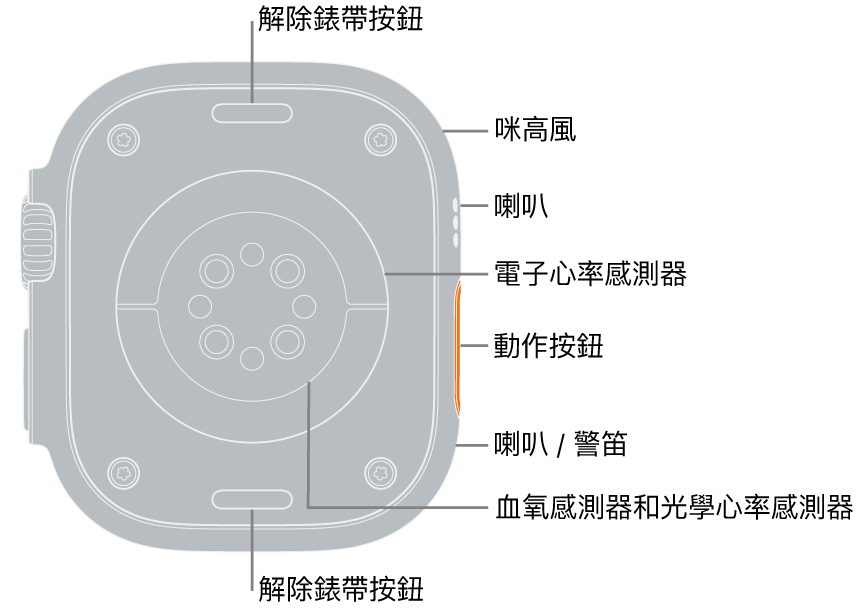 Apple Watch Ultra 的背面，在頂部和底部的解除錶帶按鈕。在側邊，説明文字分別指向咪高風、喇叭、電子心率感測器、動作按鈕、發出警笛聲音的喇叭埠、血氧感測器，以及光學心率感測器。