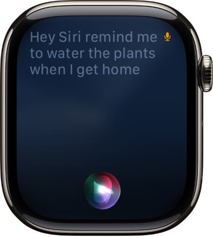 Siri 屏幕显示设定提醒事项的请求。