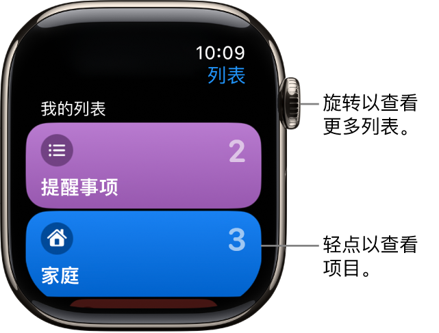 “提醒事项” App 的“列表”屏幕显示两个列表按钮，分别是“家庭”和“工作”。右侧的数字告诉你每个列表中有多少个提醒事项。轻点列表以查看其中的项目，或者旋转数码表冠以查看更多列表。