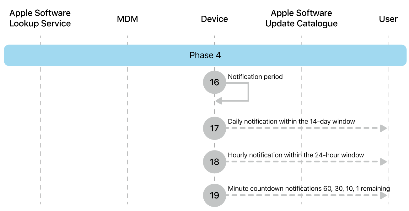 Phase 4 showing steps 16 to 19 of Apple software update enforcement.