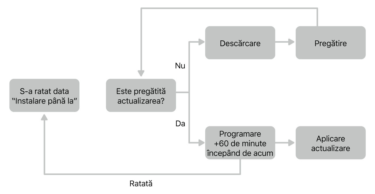 Diagrama actualizării software.