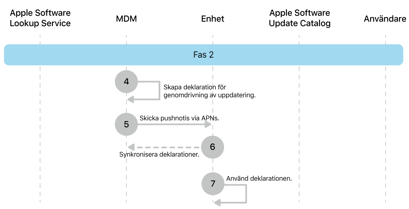 Fas 2 visar steg 4 till 7 i genomdrivingen av Apple-programuppdateringar.