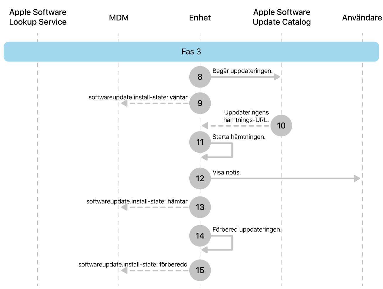 Fas 3 visar steg 8 till 16 i genomdrivingen av Apple-programuppdateringar.