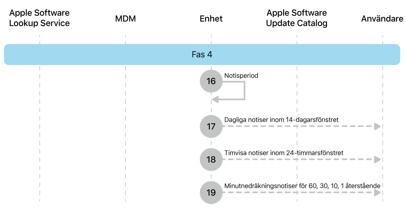 Fas 4 visar steg 16 till 19 i genomdrivingen av Apple-programuppdateringar.