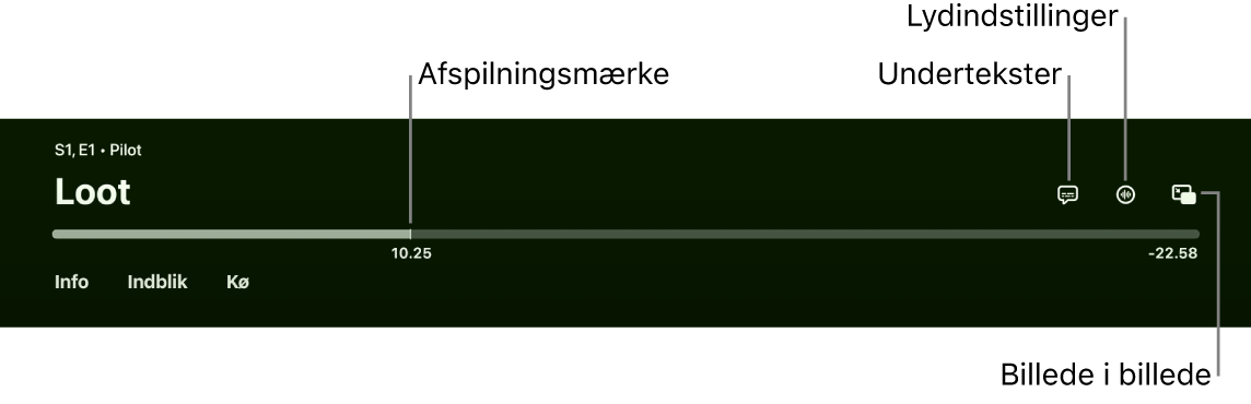 Betjeningsmuligheder til afspilning