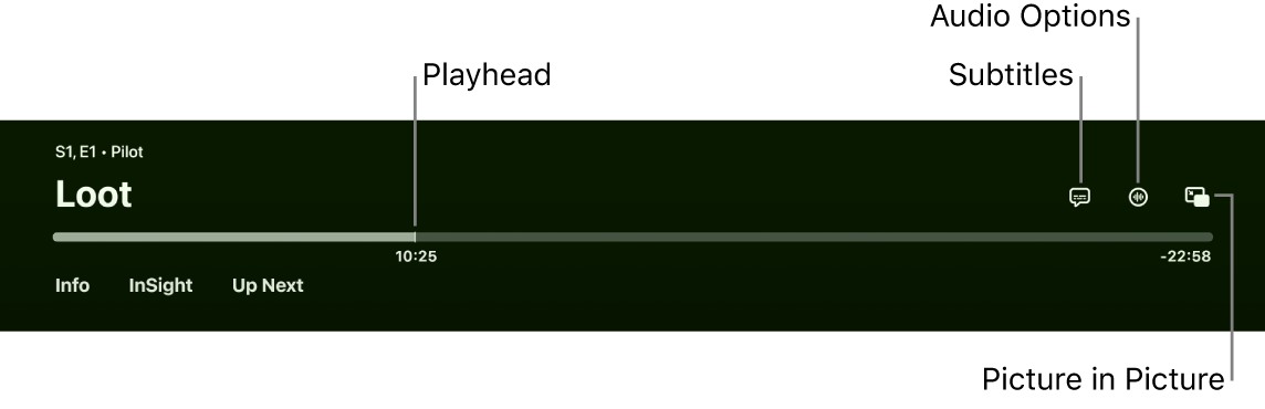 Playback controls