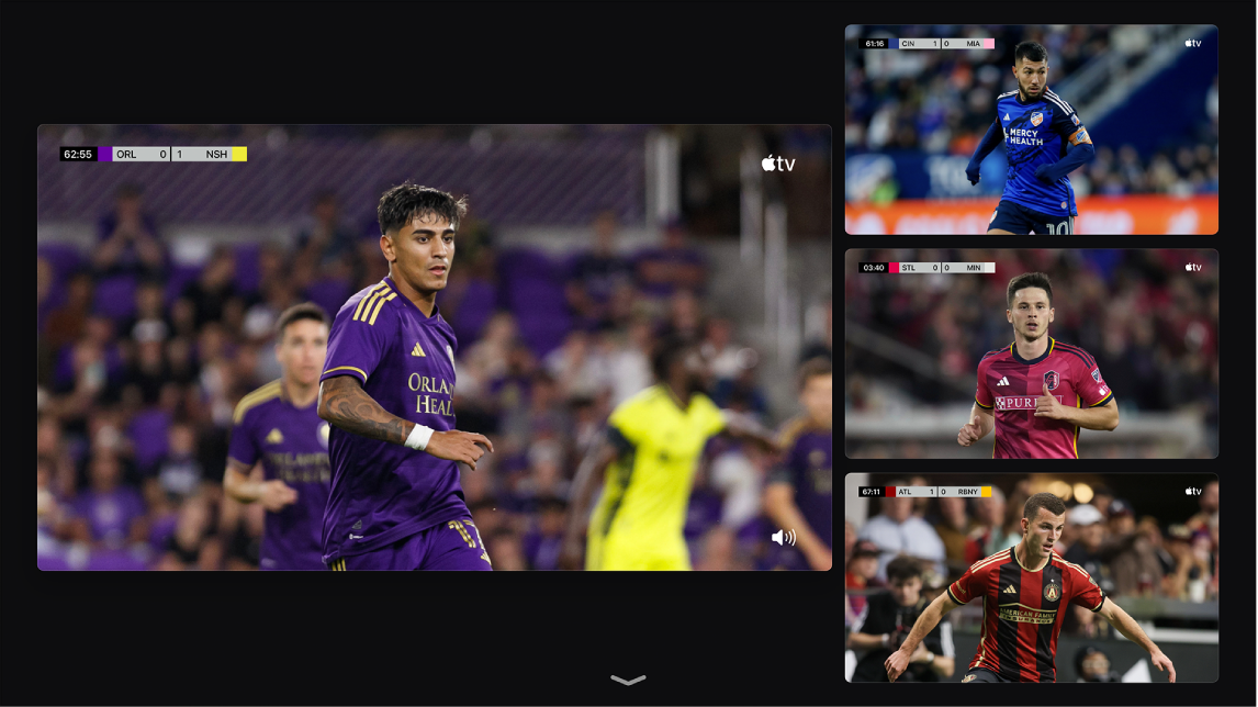 Screen showing Multiview