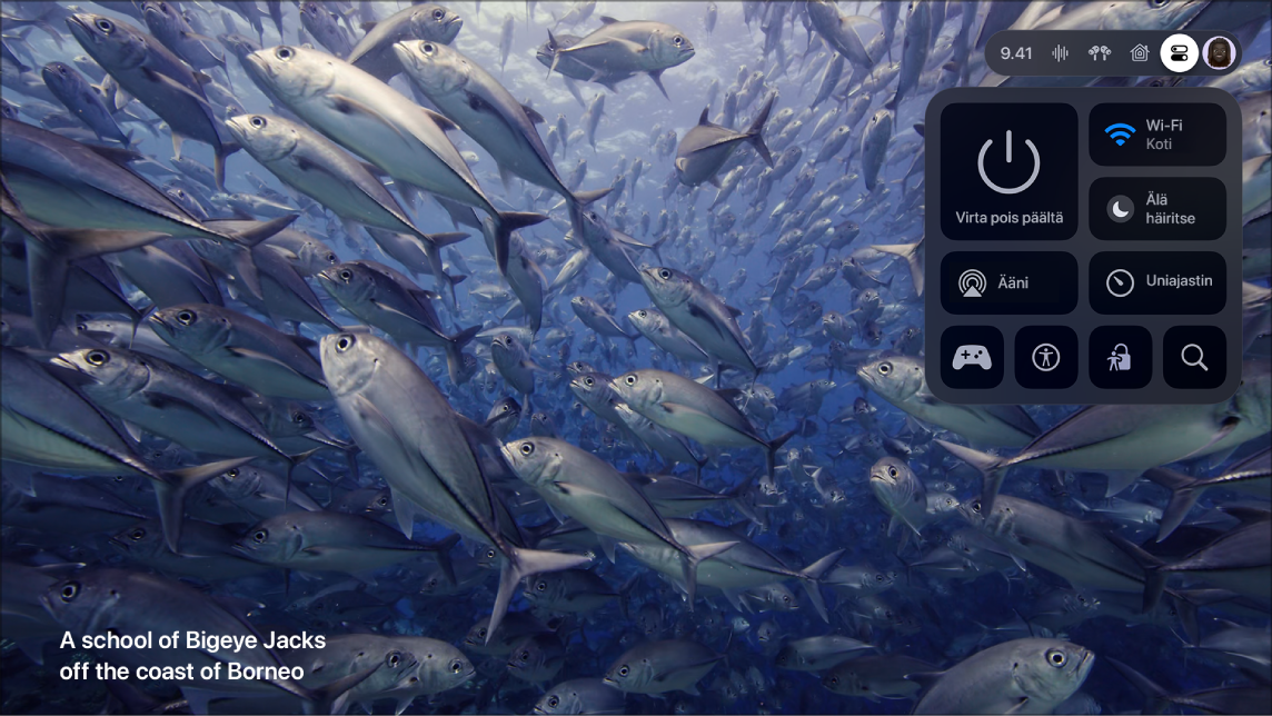Apple TV ‑näyttö, jossa näkyy Ohjauskeskus.