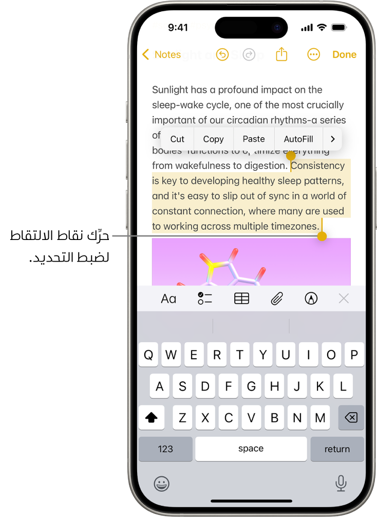 نص محدد في ملاحظة في تطبيق الملاحظات. تظهر أعلى النص المحدد أزرار قص ونسخ ولصق وتعبئة تلقائية. النص المحدد مميز، مع نقاط الالتقاط لضبط التحديد على كلا الطرفين.