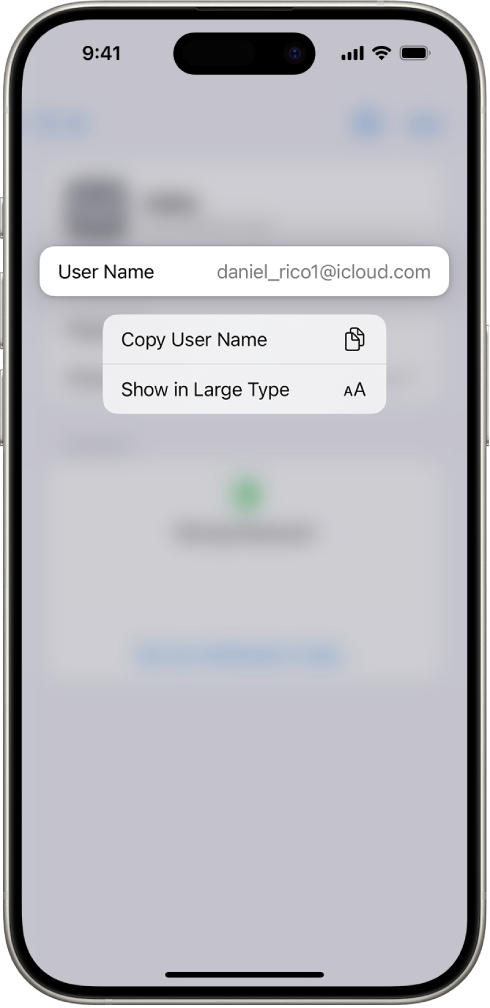 A la pantalla d’un compte es mostra el nom d’usuari ressaltat, amb opcions per copiar el nom d’usuari i mostrar en lletra gran.