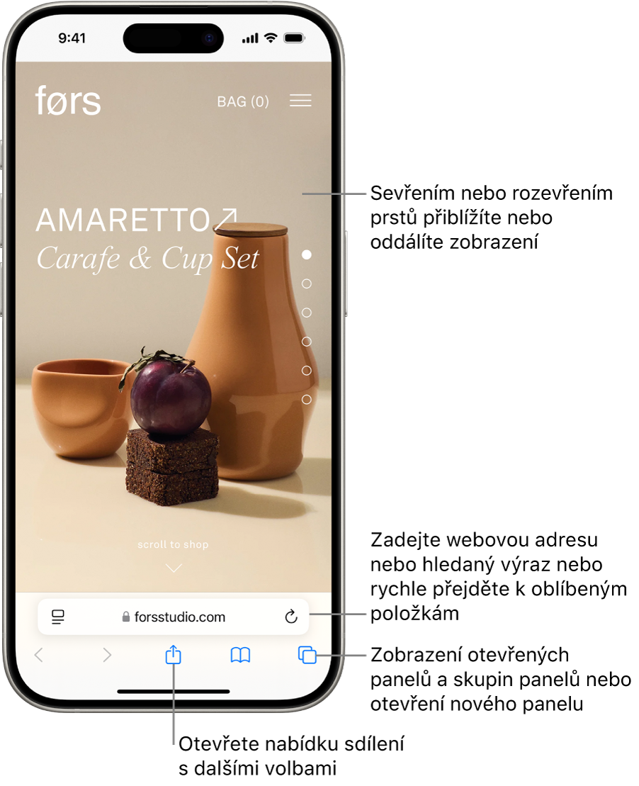 Otevřená webová stránka v Safari s polem adresy u dolního okraje. Dole se zleva doprava nacházejí tlačítka Zpět, Vpřed, Sdílet, Záložky a Panely.