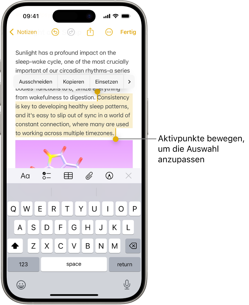 In einer Notiz in der App „Notizen“ ist Text ausgewählt. Über dem ausgewählten Text befinden sich die Tasten „Ausschneiden“, „Kopieren“, „Einsetzen“ und „Automatisch füllen“. Der ausgewählte Text ist hervorgehoben, an jedem Ende befinden sich Aktivierungspunkte zum Anpassen der Auswahl.