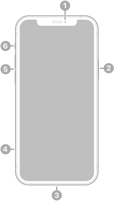 The front view of iPhone 12. The front camera is at the top center. The side button is on the right side. The Lightning connector is on the bottom. On the left side, from bottom to top, are the SIM tray, the volume buttons, and the Ring/Silent switch.