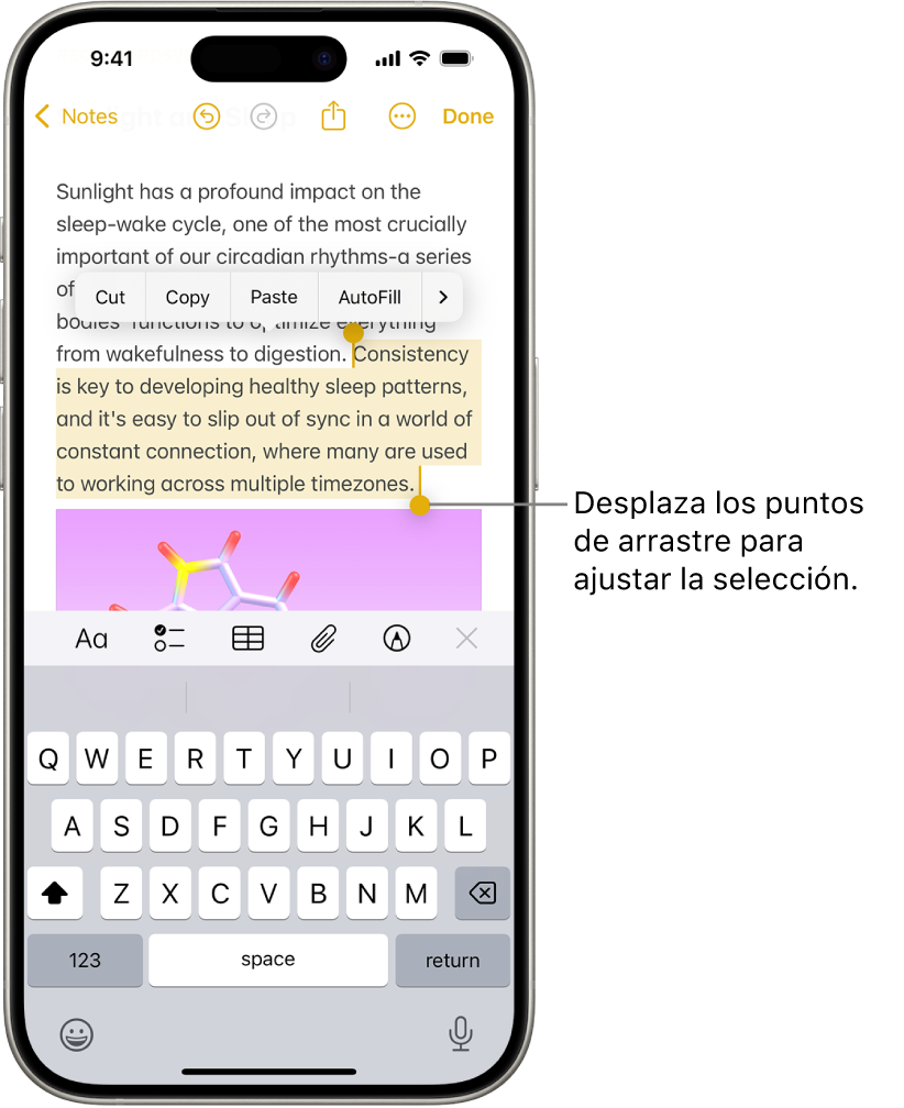 En la app Notas, hay texto seleccionado en una nota. Encima de la selección están los botones Cortar, Copiar, Pegar y Autorrellenar. El texto seleccionado está resaltado, con puntos de arrastre en cada extremo que permiten ajustar la selección.