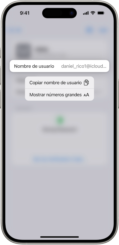 Pantalla de una cuenta con el nombre de usuario resaltado y opciones para “Copiar nombre de usuario” y “Mostrar números grandes”.