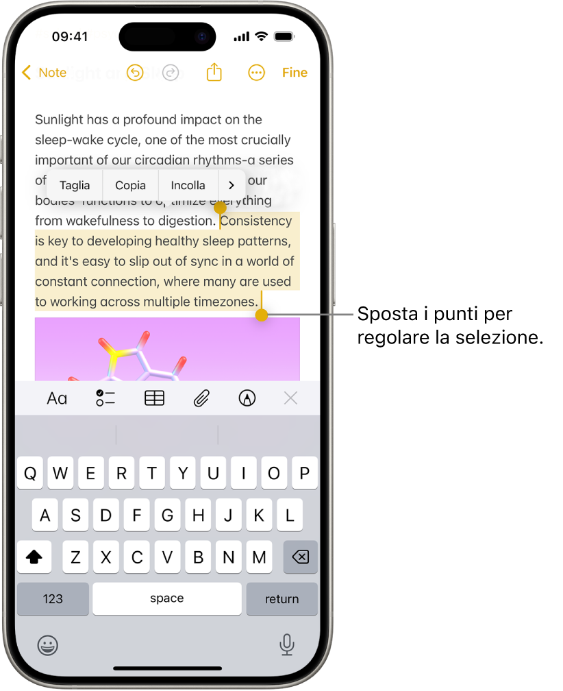 Nell’app Note, un testo è selezionato in una nota. Sopra il testo selezionato ci sono i pulsanti Taglia, Copia, Incolla e “Inserimento automatico”. Il testo selezionato è evidenziato, con punti su ciascun lato che possono essere trascinati per regolare la selezione.