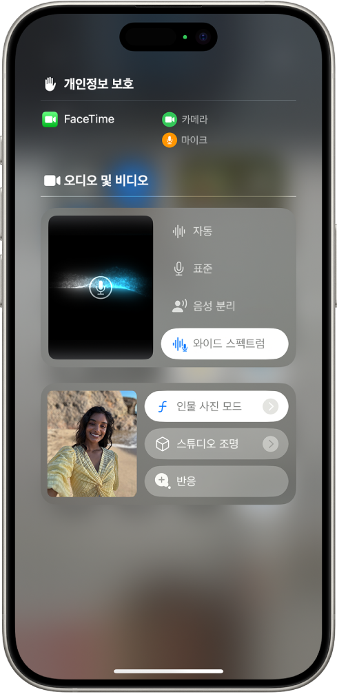 FaceTime 통화 중에 표시한 제어 센터의 비디오 효과 설정. 인물 사진 모드가 켜져 있고, 발신자의 이미지가 확대된 타일에 나타나 있으며, 배경이 흐리게 처리되고 피사체가 선명하게 부각되는 인물 사진 효과가 해당 이미지에 적용되어 있음.