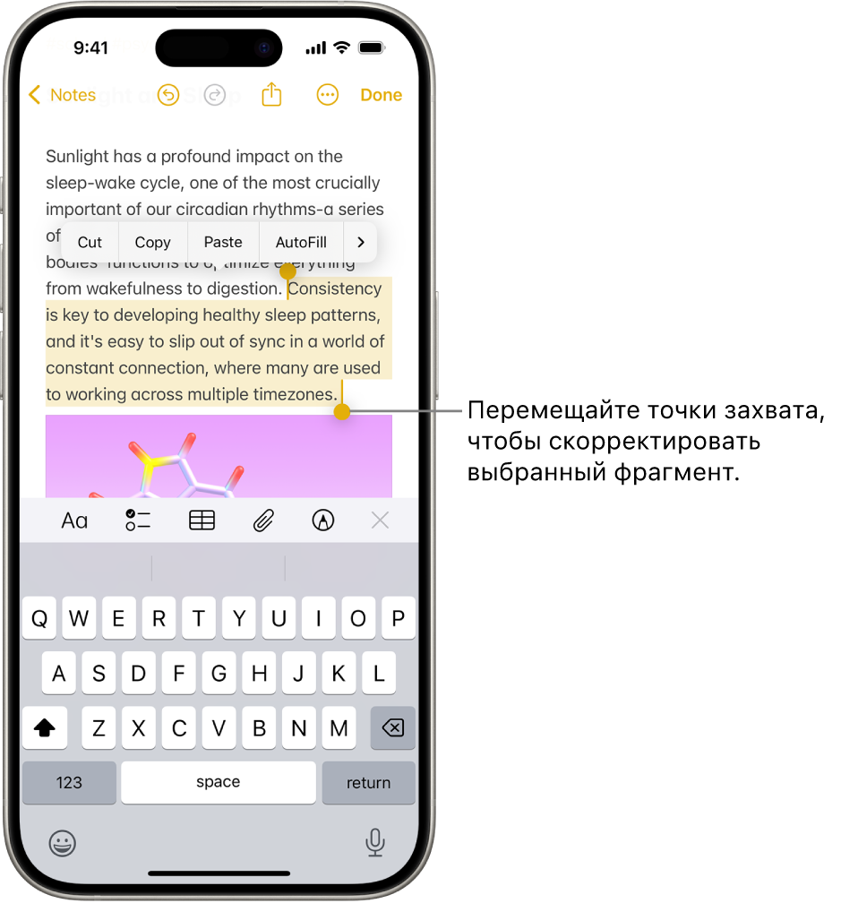В приложении «Заметки» выбран текст в заметке. Над выбранным текстом отображаются кнопки «Вырезать», «Скопировать», «Вставить» и «Автозаполнить». Выбранный текст выделен, точки захвата с обеих сторон позволяют выбрать больше или меньше текста.