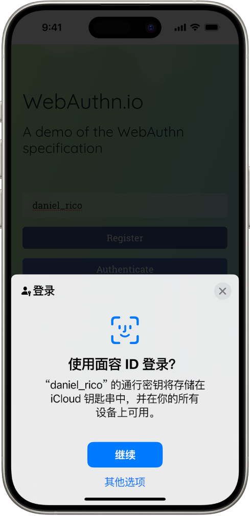 存储账户通行密钥时显示的登录屏幕。屏幕底部为“继续”和“其他选项”按钮。