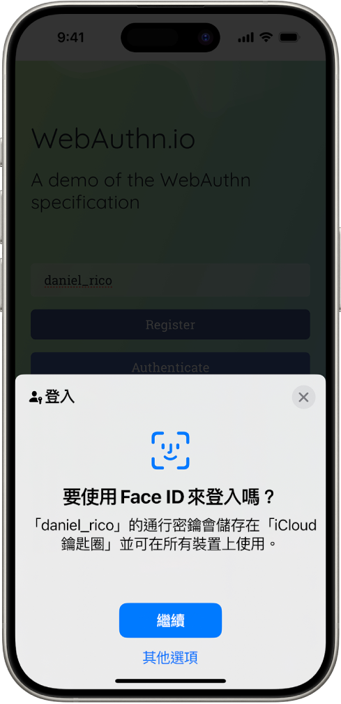 為帳號儲存通行密鑰時顯示登入畫面。螢幕底部顯示「繼續」和「其他選項」按鈕。