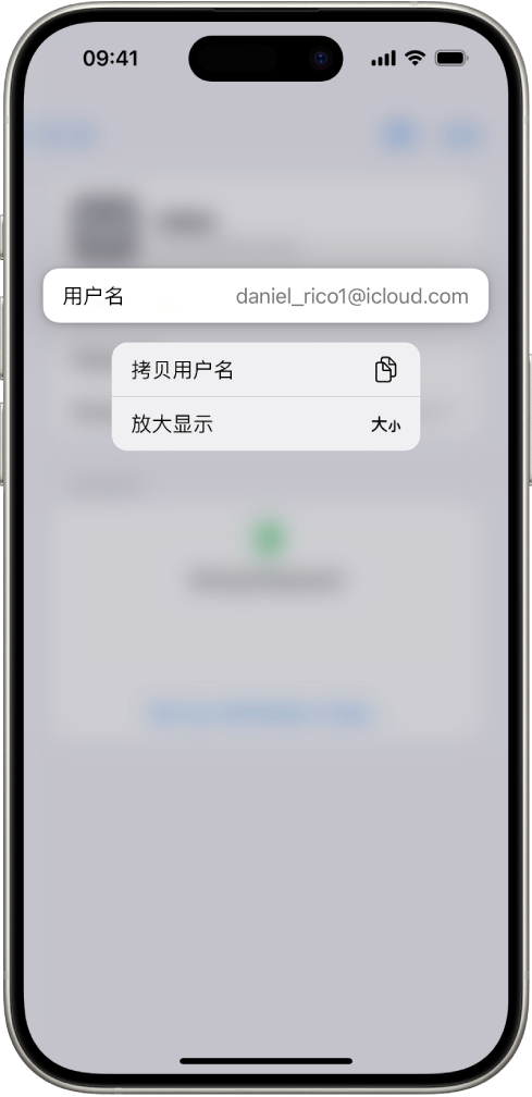 账户屏幕显示高亮标记的用户名，以及“拷贝用户名”和“放大显示”选项。