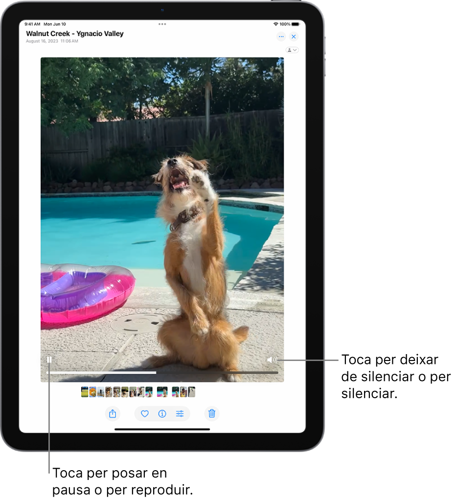 El reproductor de vídeo de l’app Fotos és al centre de la pantalla i s’hi està reproduint un vídeo. A la part inferior del vídeo, d’esquerra a dreta, hi ha el botó de reproducció i pausa, una barra de progrés i el botó de silenciar i volum.