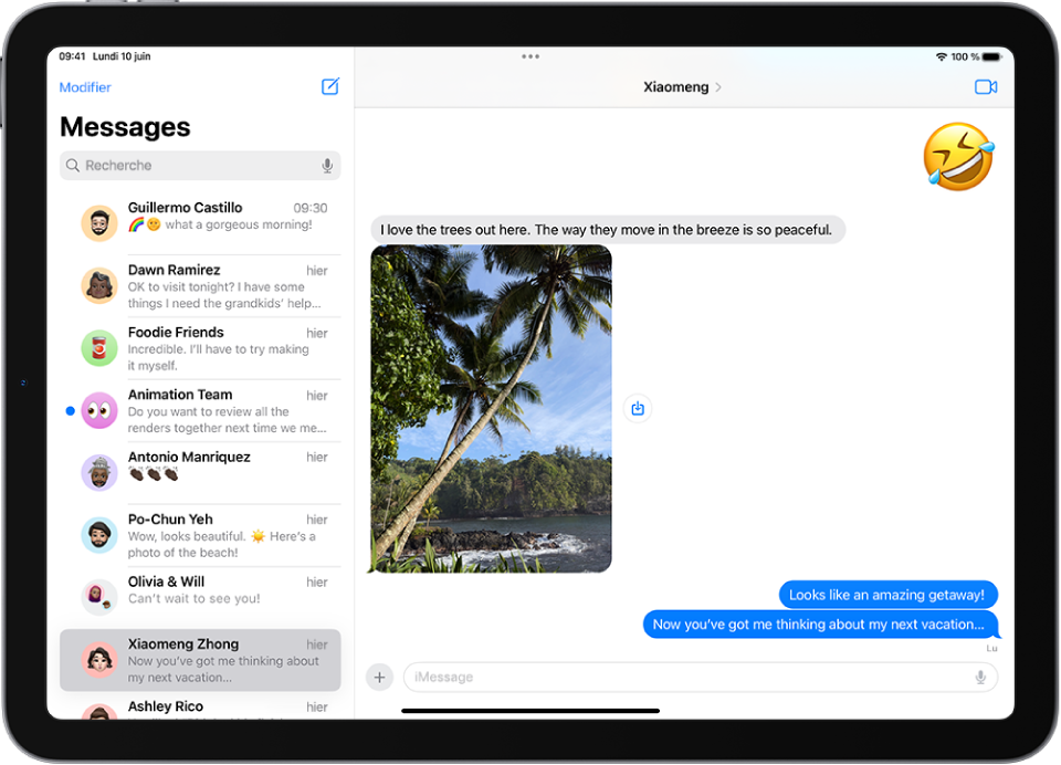 Une conversation Messages affichant des fonctionnalités d’iMessage.