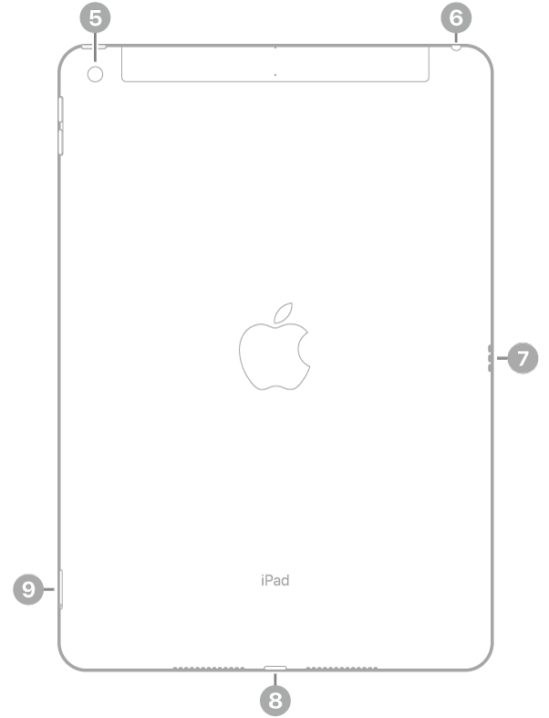 מבט אחורי על iPad עם הסברים על המצלמה האחורית משמאל למעלה, שקע האוזניות מימין למעלה, מחבר Smart Connector מימין, מחבר Lightning במרכז למטה ומגש ה-SIM (‏Wi-Fi + Cellular) משמאל למטה.