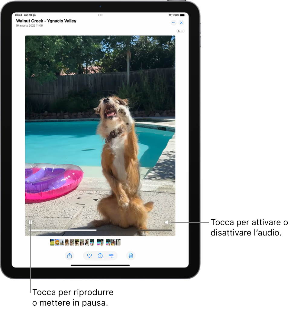 Al centro dello schermo è presente il player video dell’app Foto, con un video in riproduzione. Sotto al video, da sinistra a destra, sono presenti il pulsante Riproduci/Metti in pausa, la barra di avanzamento e il pulsante Disattiva audio/Volume.