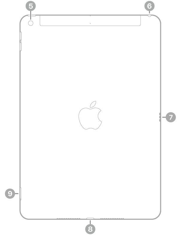 Achterkant van de iPad met bijschriften voor de camera aan de achterkant linksbovenin, de koptelefoonaansluiting rechtsbovenin, de Smart Connector aan de rechterkant, de Lightning-connector in het midden onderin en de simkaarthouder (Wi-Fi + Cellular) linksonderin.
