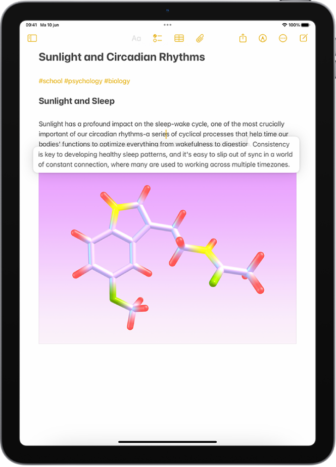 Een document is open in de Notities-app. De geselecteerde tekst is losgemaakt in het document en kan naar een nieuwe plek worden verplaatst.