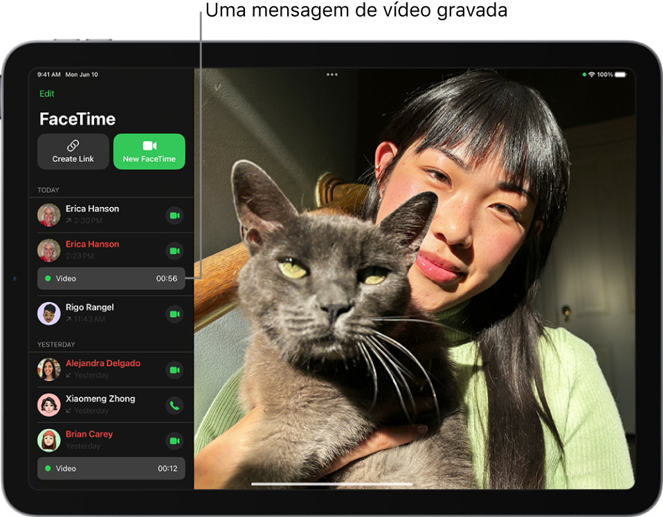 O histórico de ligações do FaceTime mostrando um link para uma mensagem de vídeo gravada.