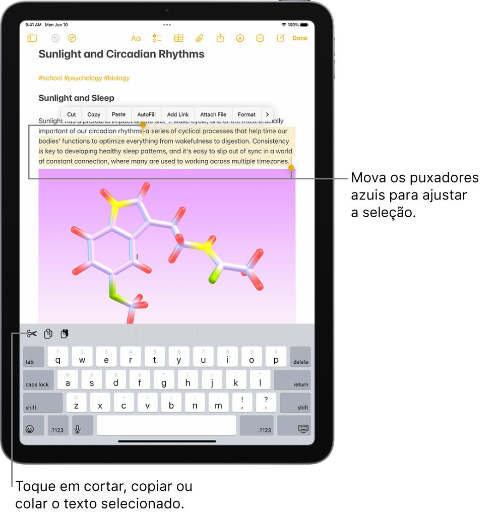 O texto é selecionado numa nota na aplicação Notas. Por cima do texto selecionado está um menu de botões, incluindo Cortar, Copiar e Colar. O texto selecionado é realçado, com pontos de seleção para ajustar a seleção em qualquer uma das extremidades.